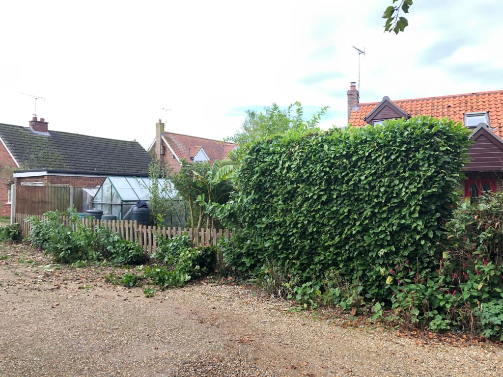 Before photo of Norfolk fencing project